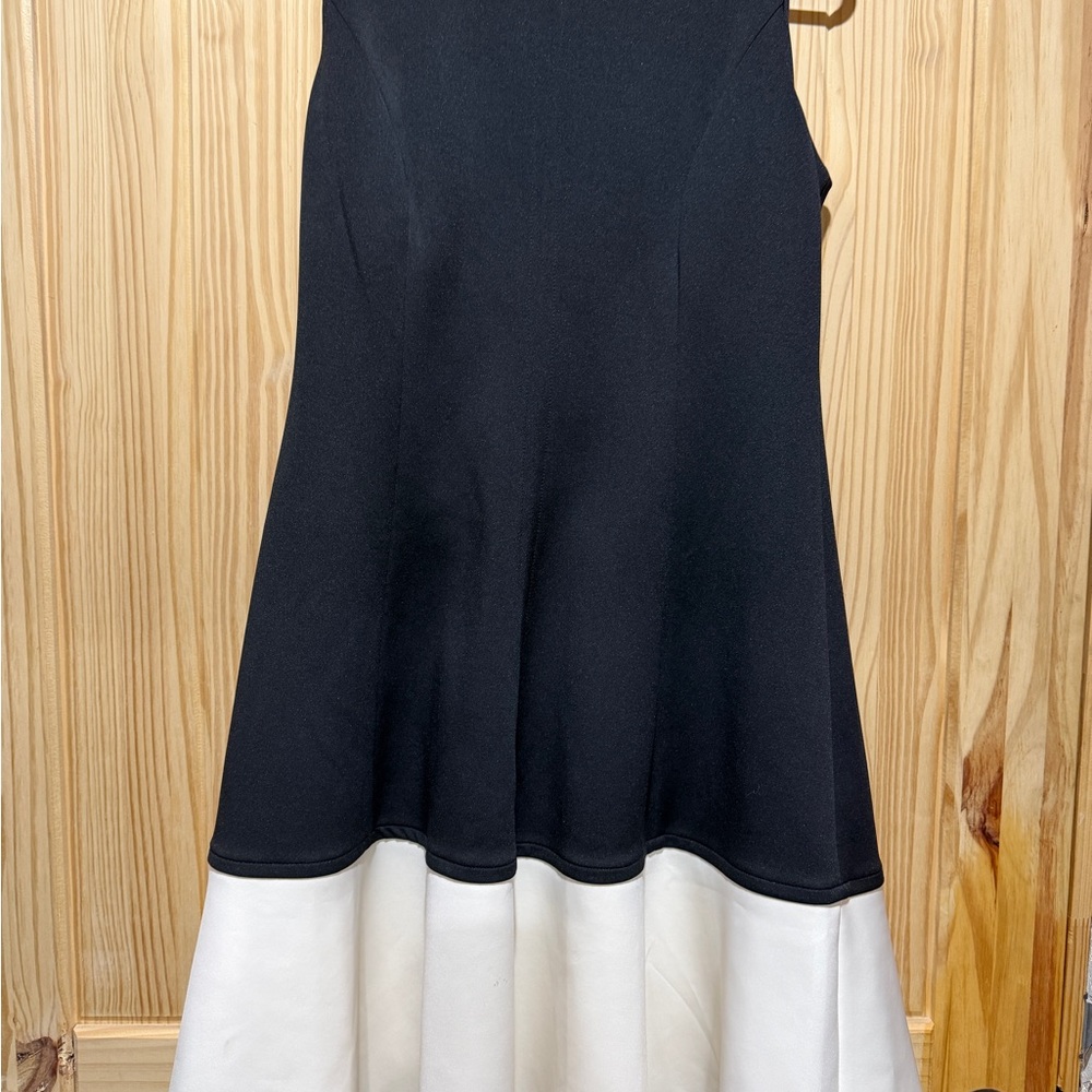 Calvin Klein Black and White Colorblock Dress